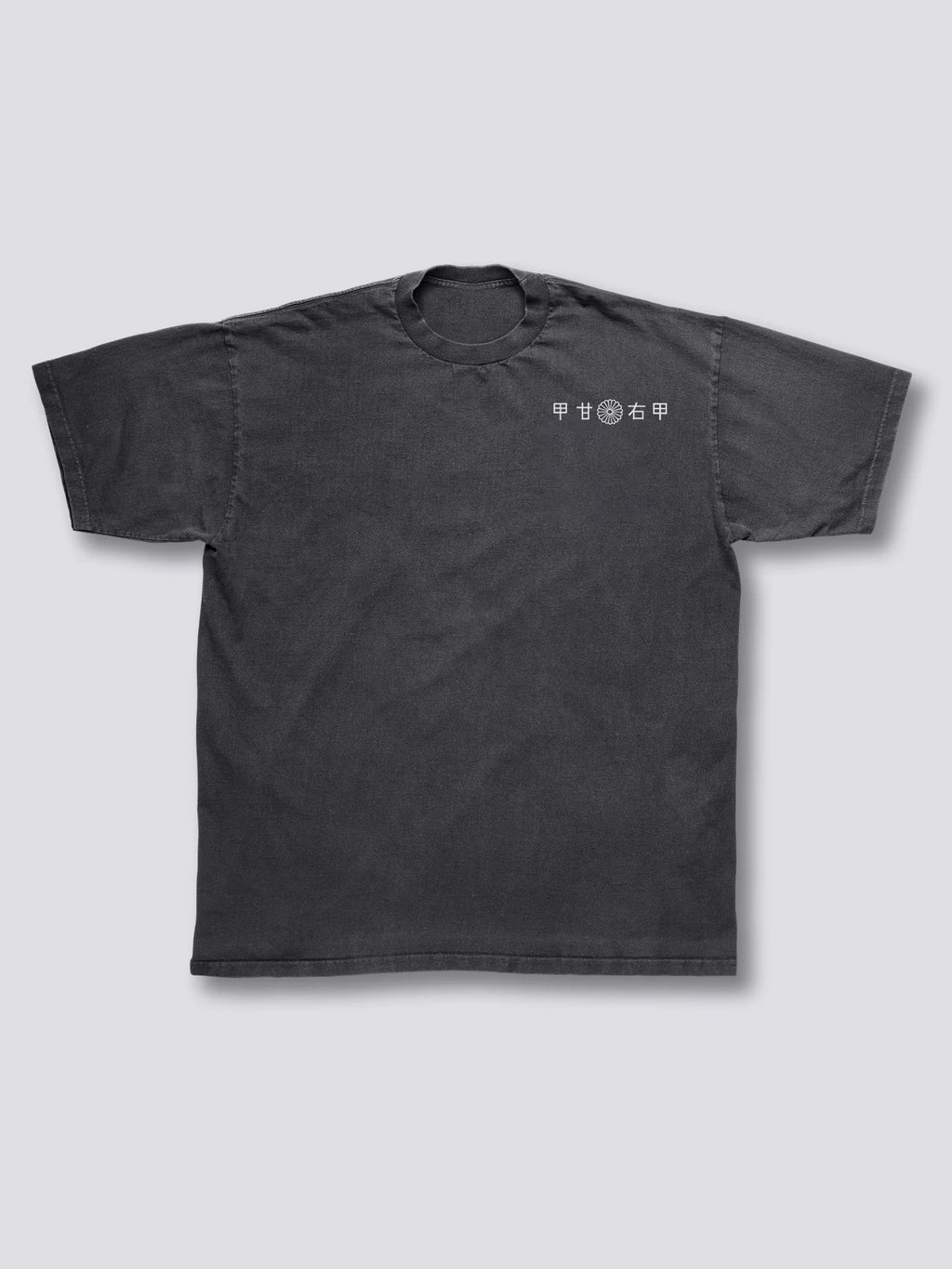 Fuji Mount Vintage T-Shirt